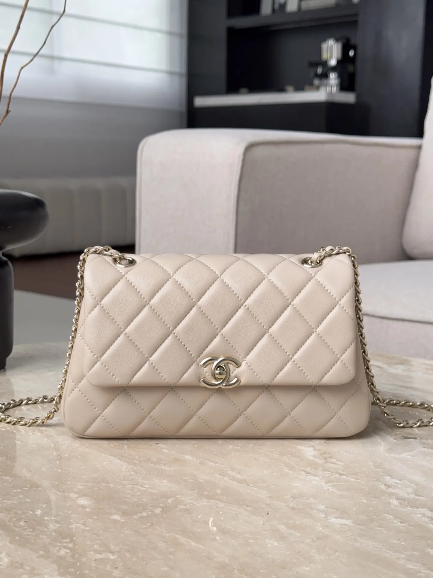 CHANEL Женская Сумка 25S Flap Bag CHANEL Женская Сумка 25S Flap Bag