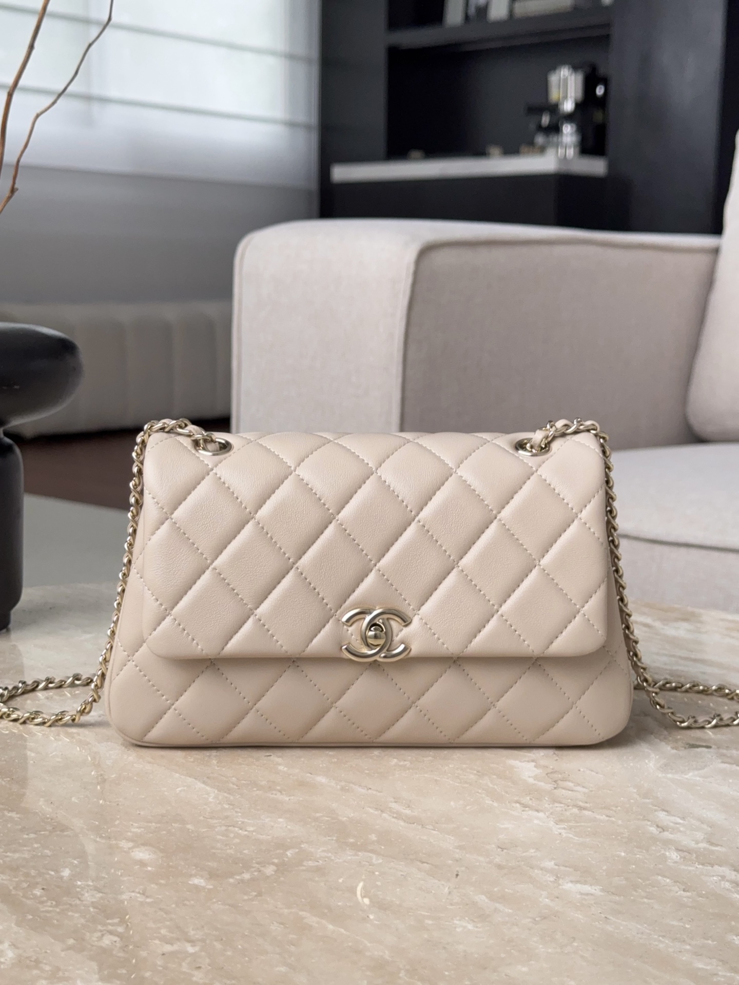 CHANEL Женская Сумка 25S Flap Bag CHANEL Женская Сумка 25S Flap Bag