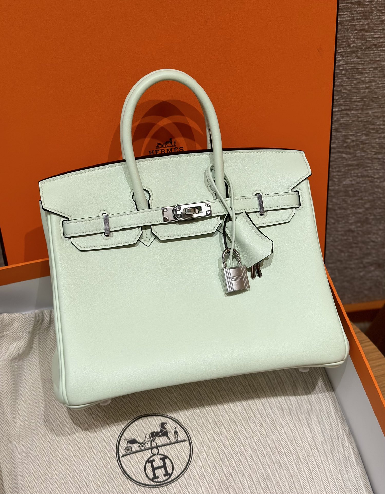 HERMES Женская сумка Birkin 25 см 0S Swift HERMES Женская сумка Birkin 25 см 0S Swift