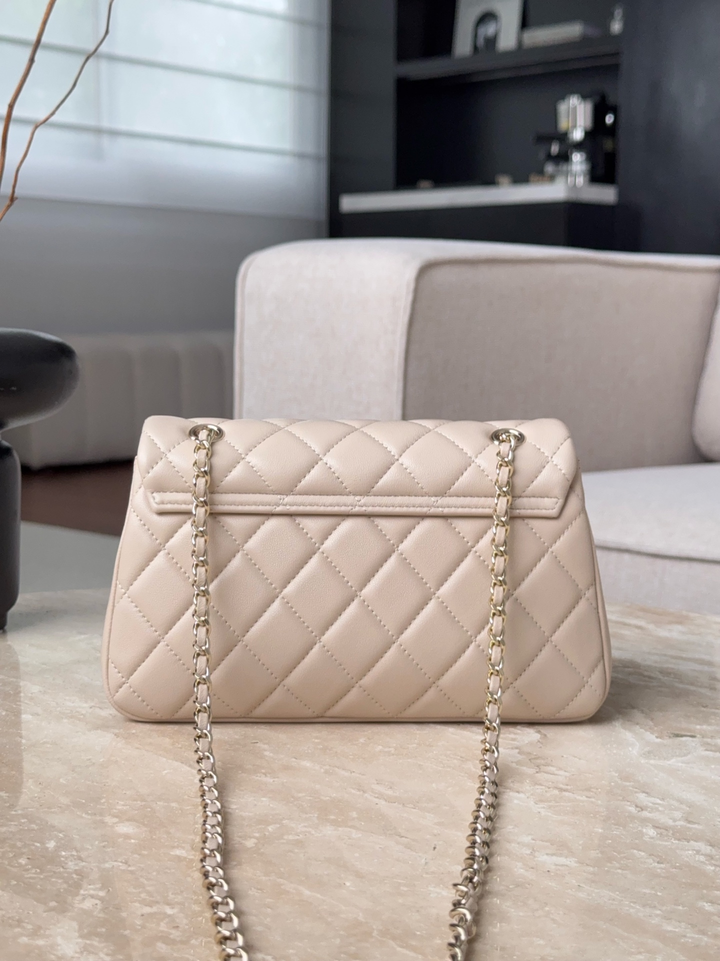 CHANEL Женская Сумка 25S Flap Bag CHANEL Женская Сумка 25S Flap Bag